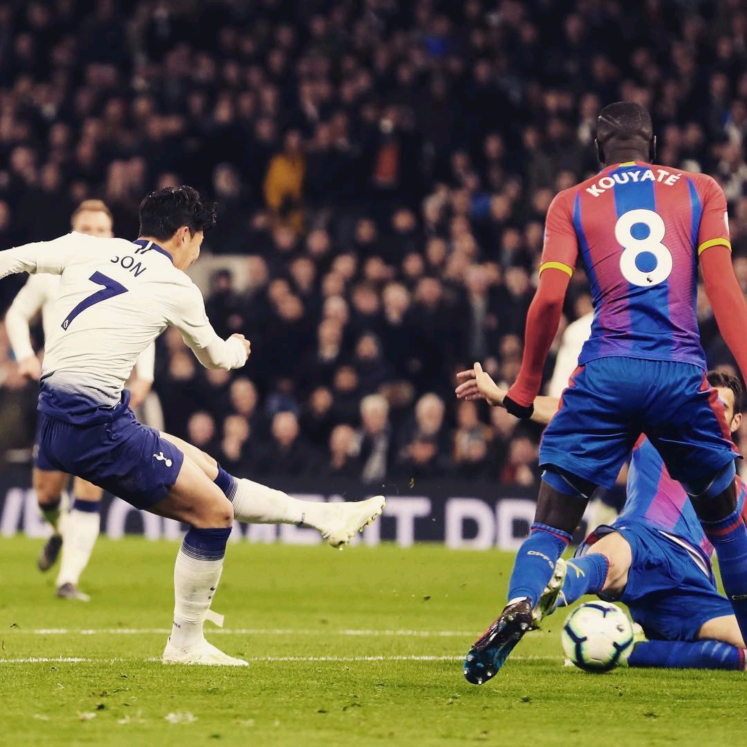 让她的宠物 让她的宠物