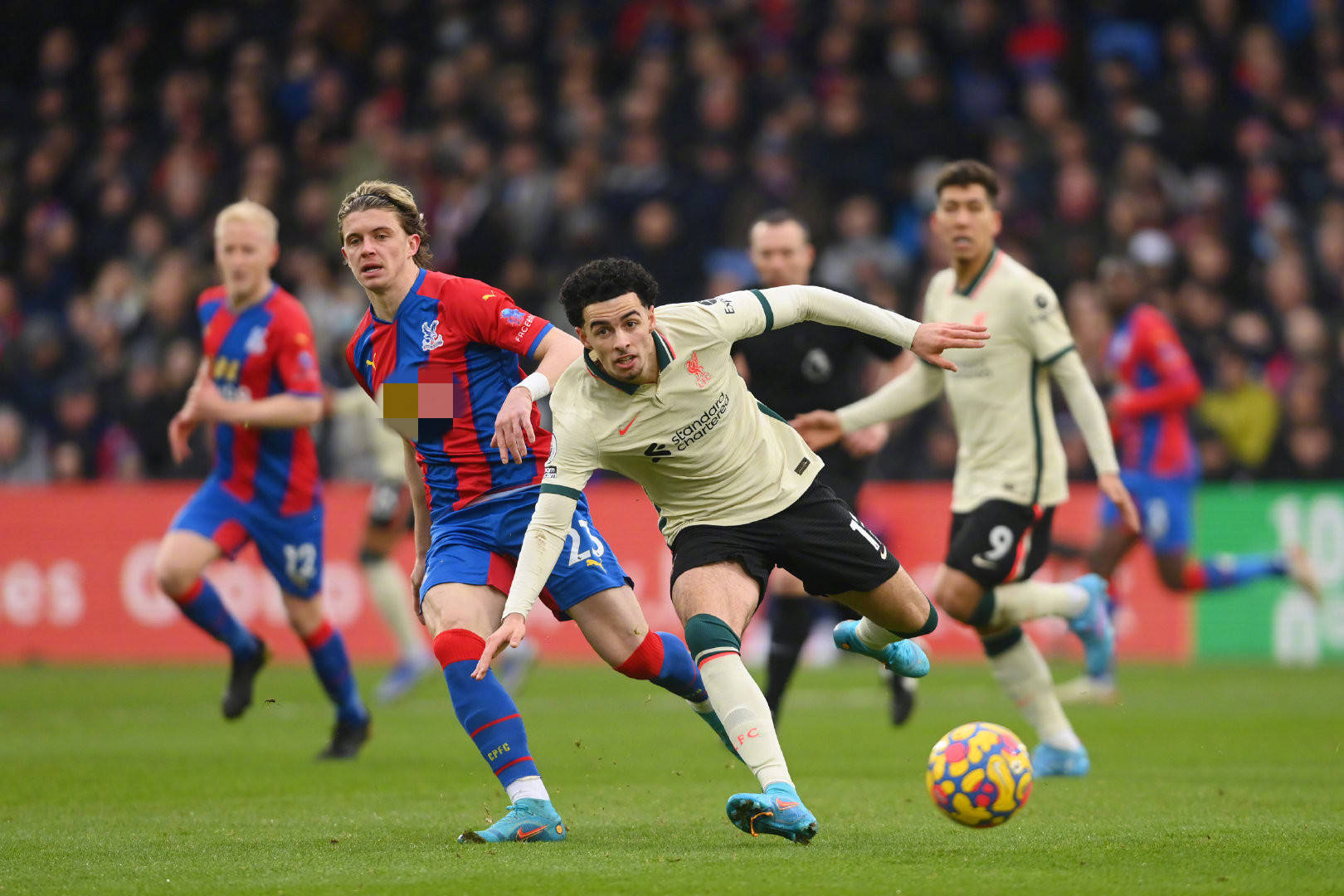 体活动中 体活动中